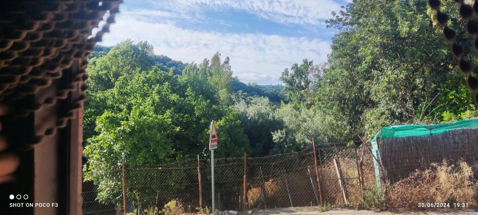 Mi Descanso El Bosque Εξωτερικό φωτογραφία
