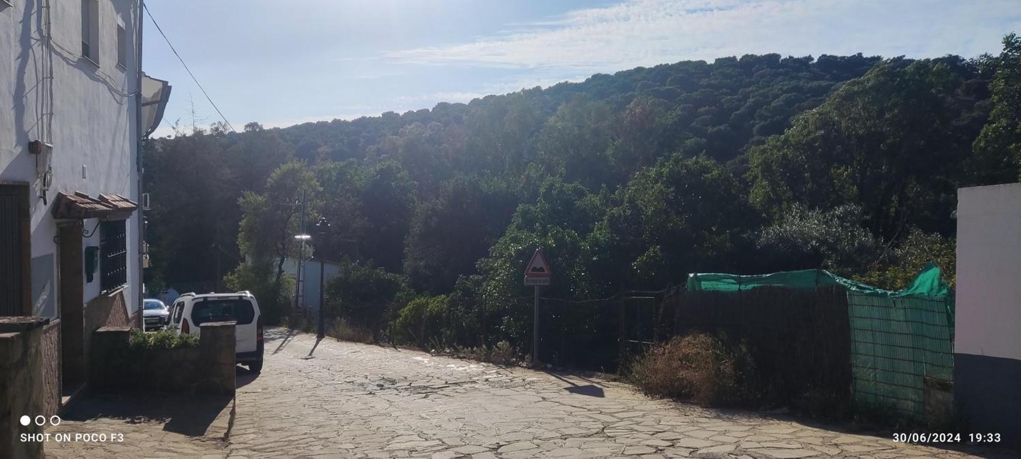 Mi Descanso El Bosque Εξωτερικό φωτογραφία