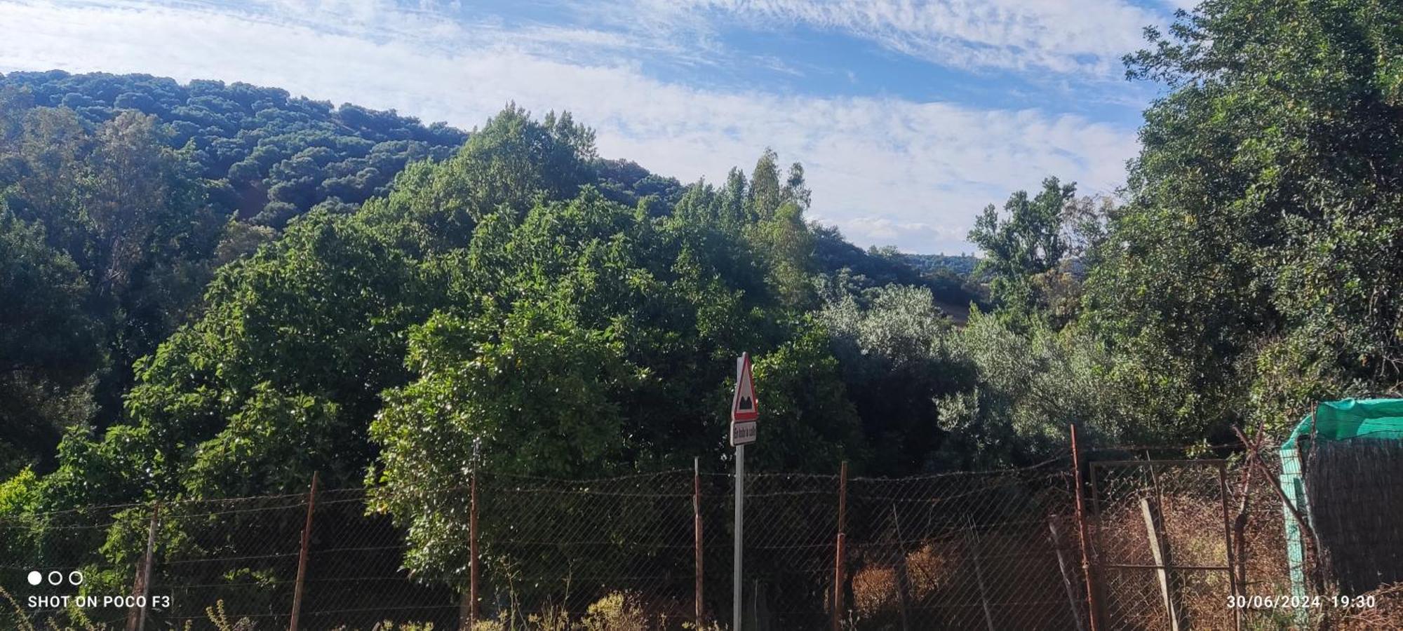 Mi Descanso El Bosque Εξωτερικό φωτογραφία