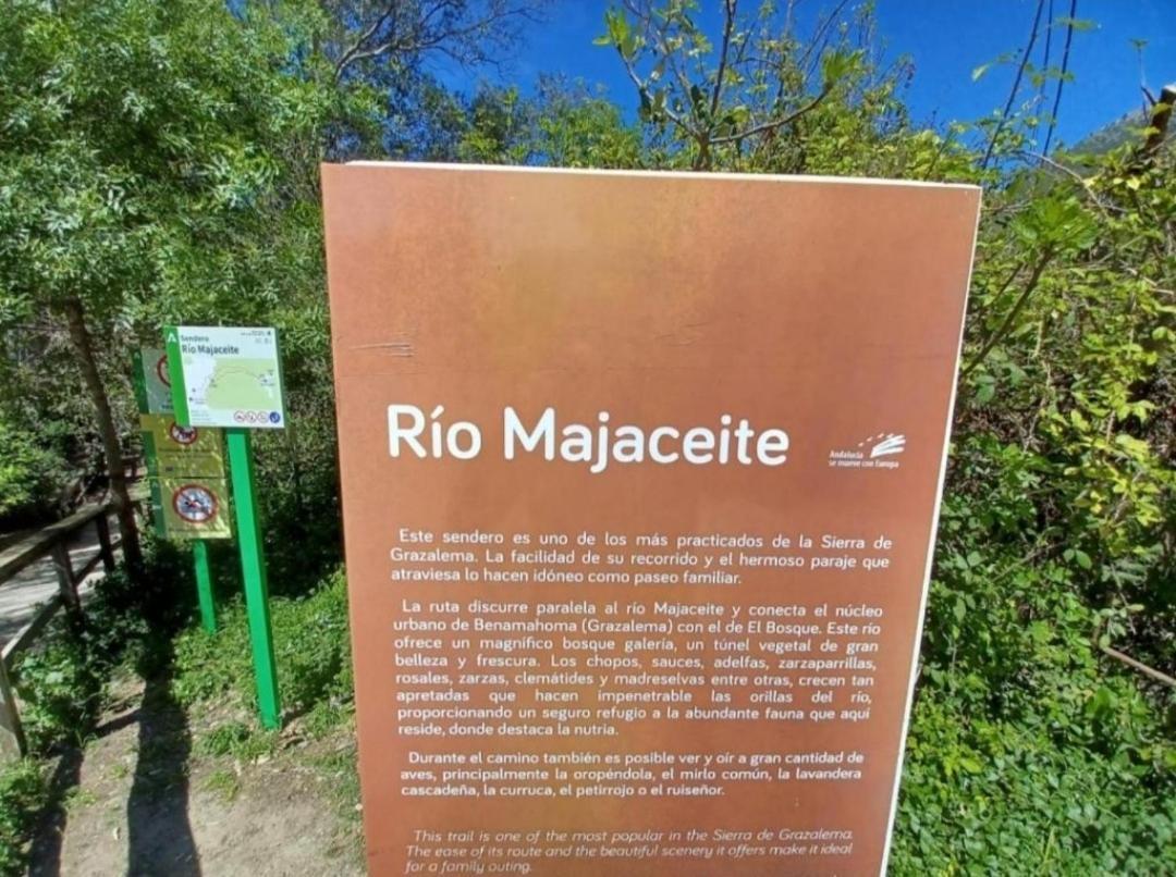 Mi Descanso El Bosque Εξωτερικό φωτογραφία