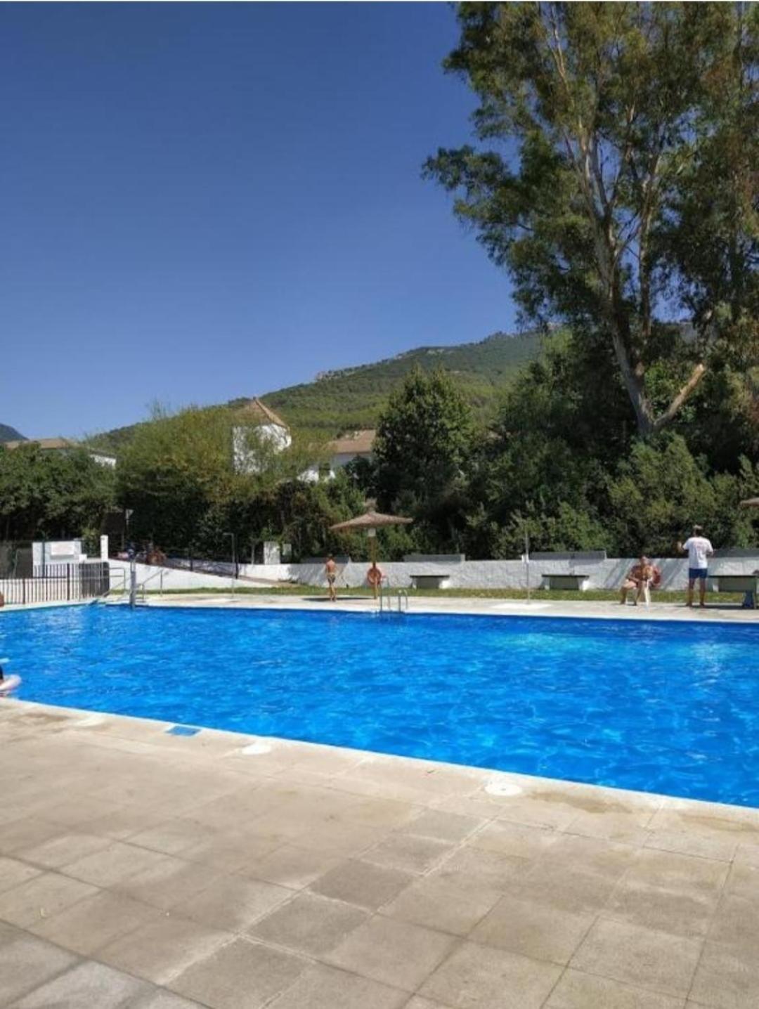 Mi Descanso El Bosque Εξωτερικό φωτογραφία