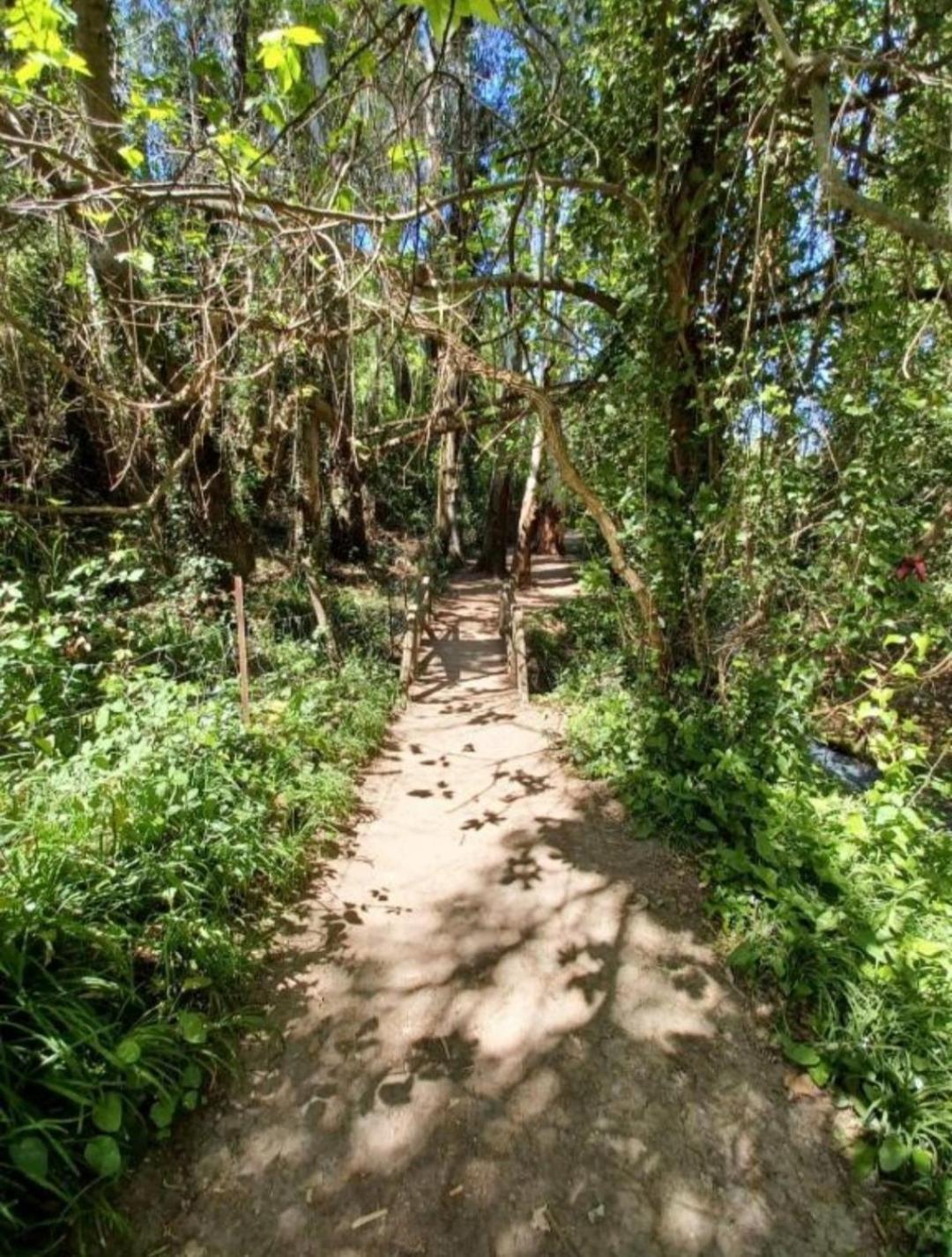 Mi Descanso El Bosque Εξωτερικό φωτογραφία