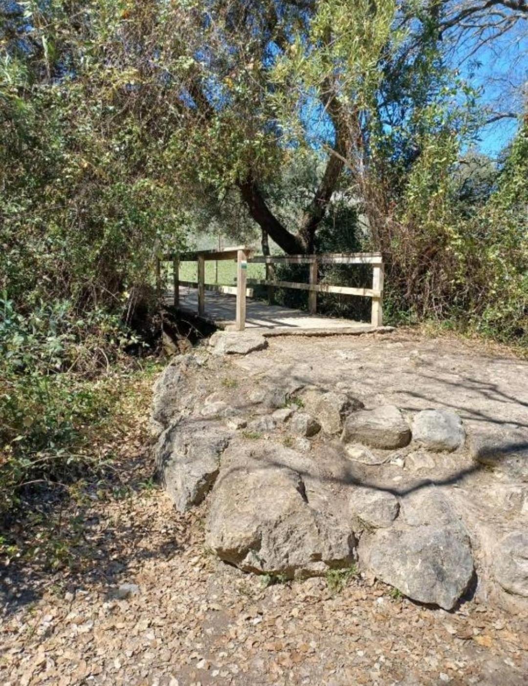 Mi Descanso El Bosque Εξωτερικό φωτογραφία