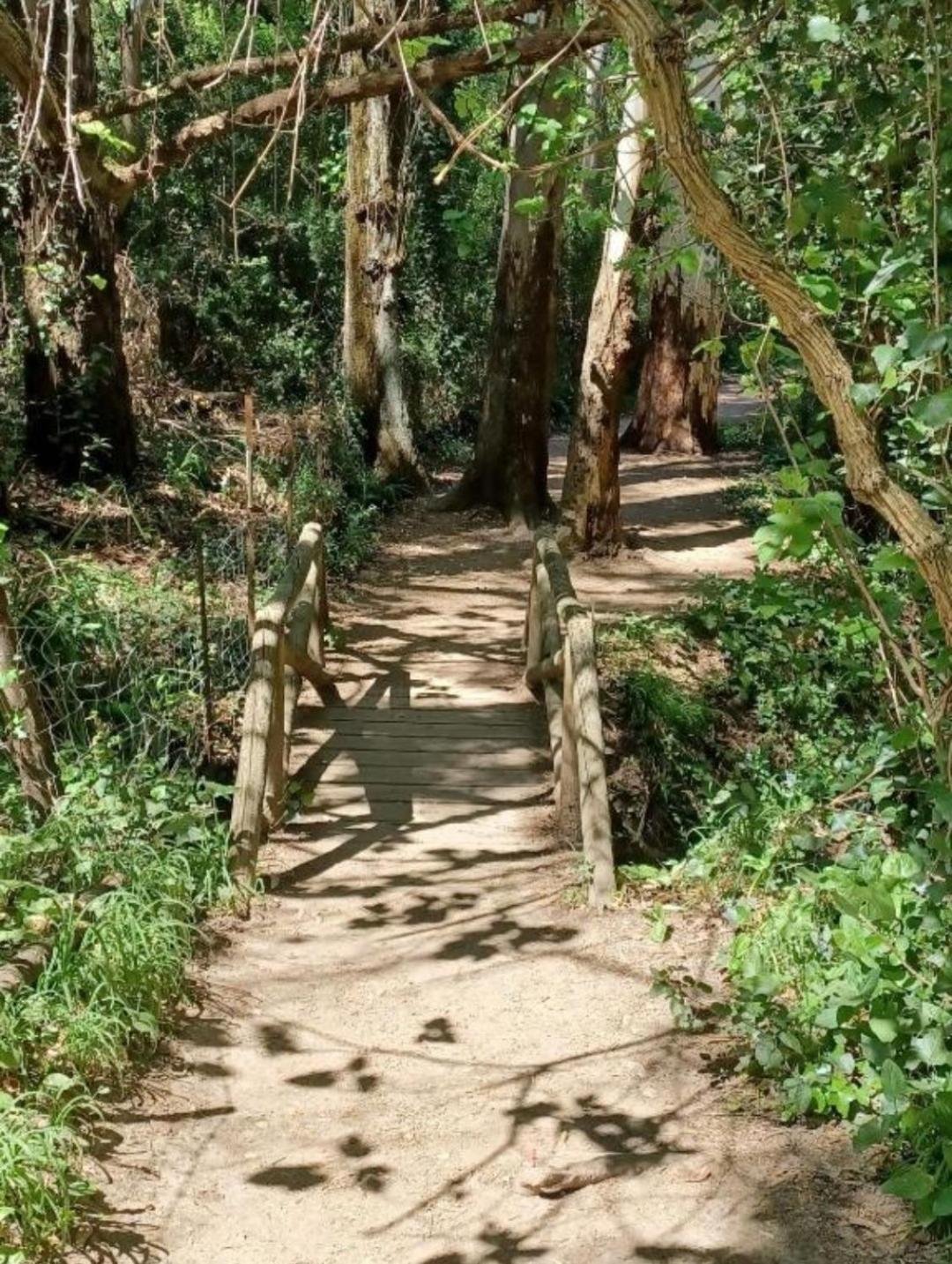 Mi Descanso El Bosque Εξωτερικό φωτογραφία